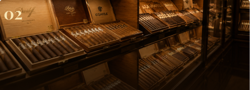 Premium cigars displayed inside a humidor